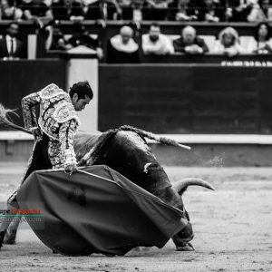 gahirupe_joselito_adame_2017- (5)