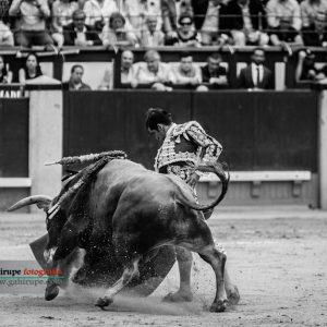 gahirupe_joselito_adame_2017- (6)