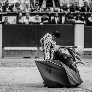 gahirupe_joselito_adame_2017- (7)