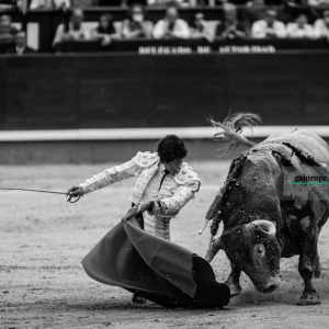 gahirupe_juan_ del_alamo_madrid_2017- (5)