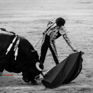 gahirupe_perez_mota_2017- (10)