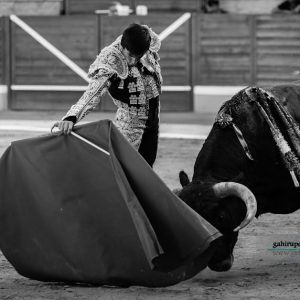 gahirupe_alejandro_fermin_villaseca_2017- (4)