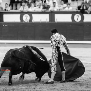 gahirupe_joselito_adame_otono_2017- (4)