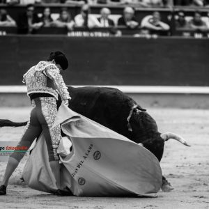 gahirupe_juan_del_alamo_otono_2017- (3)