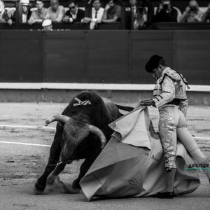 gahirupe_joselito_adame_2018- (2)