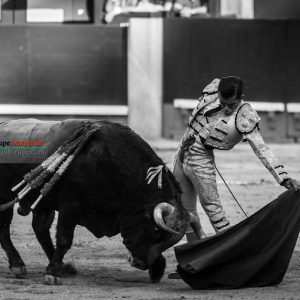 gahirupe_joselito_adame_2018- (6)