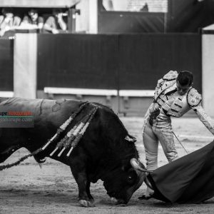 gahirupe_joselito_adame_2018- (7)