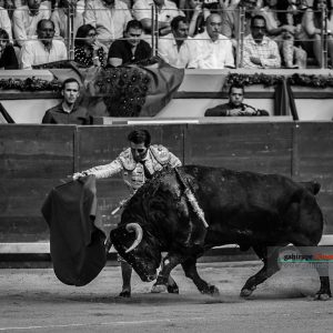 gahirupe_juan_jose_padilla_burgos_2018- (3)