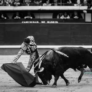 gahirupe_juan_jose_padilla_madrid_jandilla_2018- (6)