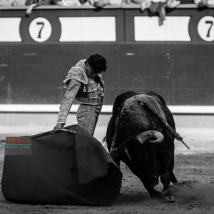 gahirupe_curro_diaz_alcurrucen_2018 (3)