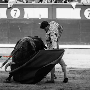 gahirupe_curro_diaz_alcurrucen_2018 (7)