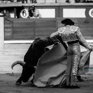 gahirupe_joselito_adame_alcurrucen_2018 (3)