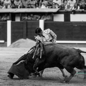 gahirupe_joselito_adame_alcurrucen_2018 (5)