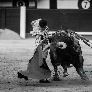 gahirupe_juan_del_alamo_alcurrucen_2018 (10)