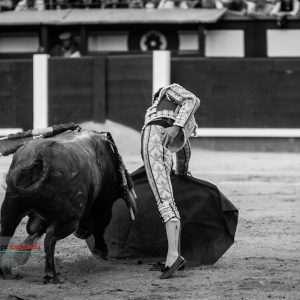 gahirupe_juan_del_alamo_alcurrucen_2018 (11)