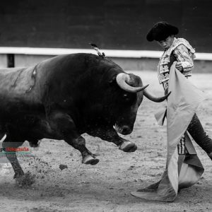 gahirupe_juan_del_alamo_alcurrucen_2018 (4)