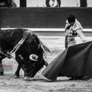 gahirupe_morenito_de_aranda_ventorrillo_2018 (6)