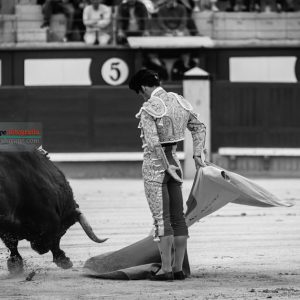 gahirupe_morenito_de_aranda_ventorrillo_2018 (7)