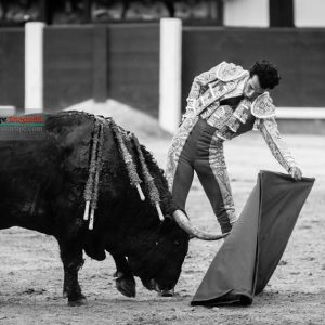 gahirupe_morenito_de_aranda_ventorrillo_2018 (9)