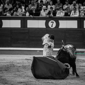 gahirupe_alejandro_talavante_madrid_2018- (4)