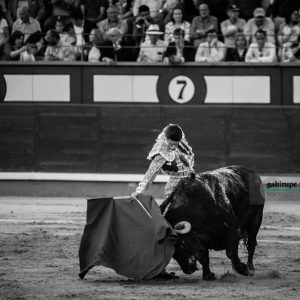 gahirupe_alejandro_talavante_madrid_2018- (5)