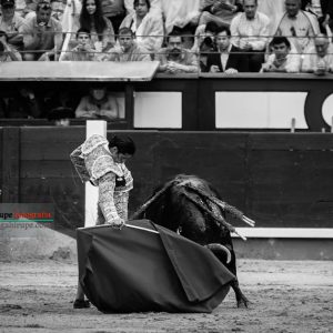 gahirupe_alejandro_talavante_madrid_2018- (6)