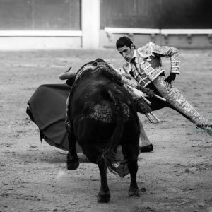 gahirupe_alejandro_talavante_madrid_puerta_grande_2018- (4)