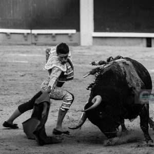 gahirupe_alejandro_talavante_madrid_puerta_grande_2018- (5)