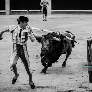 gahirupe_rafael_gonzalez_saltillo_2018