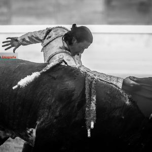gahirupe_el_galo_madrid_2019- (5)