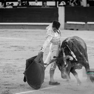 gahirupe_gomez_del_pilar_jose_escolar_madrid_2019- (10)