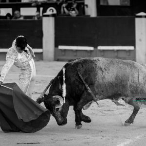 gahirupe_gomez_del_pilar_jose_escolar_madrid_2019- (6)