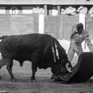 gahirupe_javier_cortes_pedraza_madrid_2019- (6)