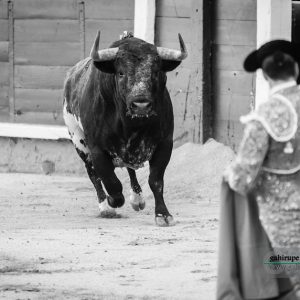 gahirupe_madrid_la_quinta_san_isidro_2019- (2)