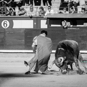 gahirupe_octavio_chacon_pedraza_madrid_2019- (3)