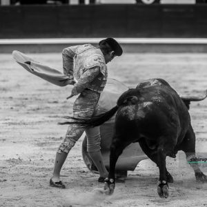 gahirupe_alberto_lamelas_dolores_madrid_2019- (4)