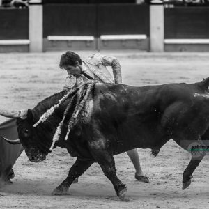 gahirupe_alberto_lamelas_dolores_madrid_2019- (7)