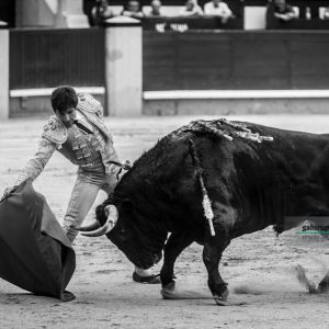 gahirupe_alberto_lamelas_dolores_madrid_2019- (8)