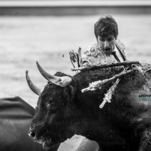 gahirupe_alberto_lamelas_dolores_madrid_2019- (9)
