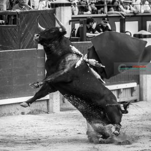 gahirupe_alcurrucen_primera_madrid_2019- (3)