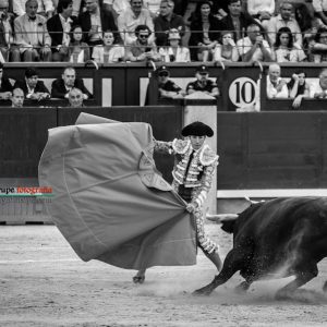 gahirupe_alvaro_lorenzo_alcurrucen_madrid_2019- (2)