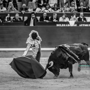 gahirupe_alvaro_lorenzo_alcurrucen_madrid_2019- (3)