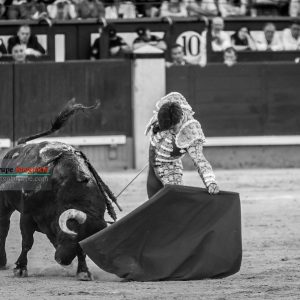 gahirupe_alvaro_lorenzo_alcurrucen_madrid_2019- (4)