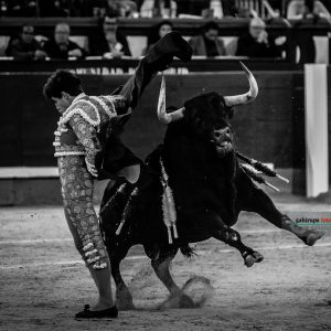 gahirupe_alvaro_lorenzo_el_tajo_san_isidro_2019- (13)