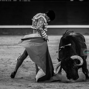 gahirupe_alvaro_lorenzo_el_tajo_san_isidro_2019- (7)