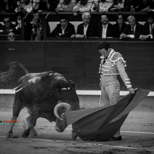 gahirupe_antonio_ferrera_alcurrucen_madrid_2019- (3)