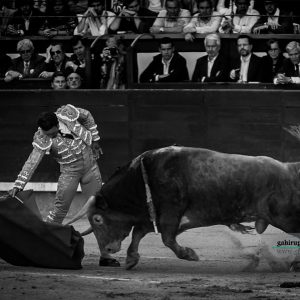 gahirupe_antonio_ferrera_alcurrucen_madrid_2019- (4)