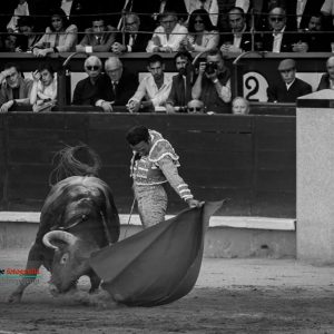 gahirupe_antonio_ferrera_alcurrucen_madrid_2019- (6)