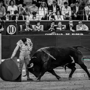 gahirupe_antonio_ferrera_alcurrucen_madrid_2019- (8)