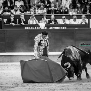 gahirupe_david_mora_alcurrucen_madrid_2019- (4)